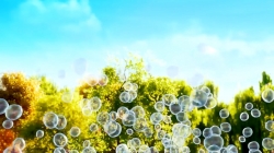 انیمیشن سانی بانیز قسمت 96 - sunny bunnies